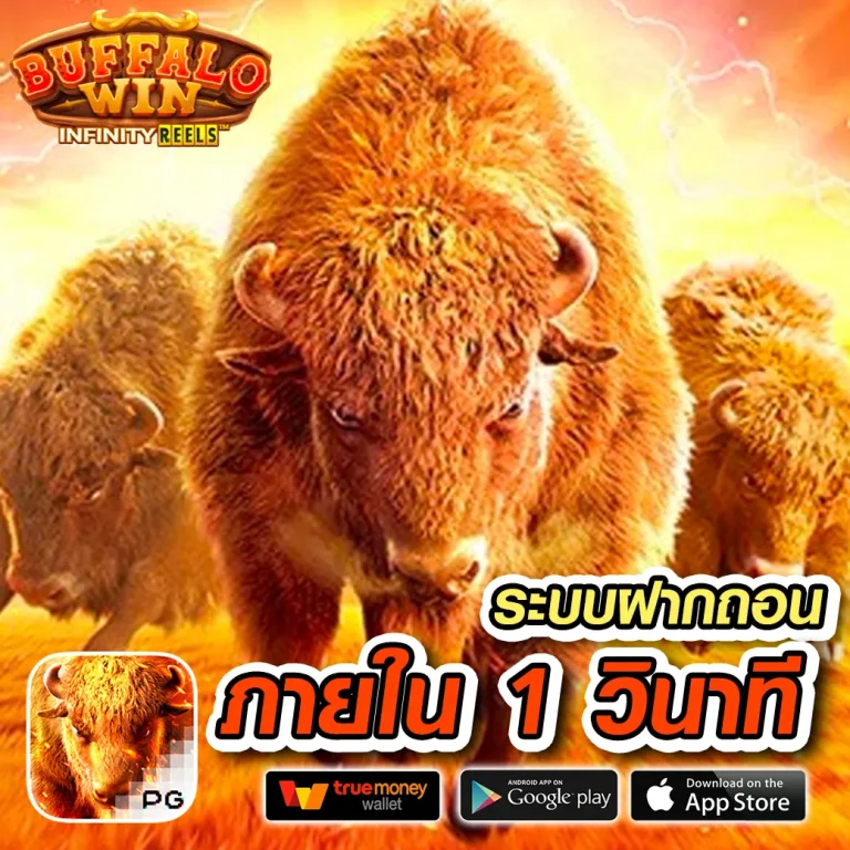 kimchibet เว็บตรง